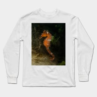 A Horse of Another Kind Long Sleeve T-Shirt